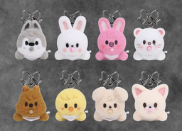 Stray Kids World Tour RUN IT SEOUL Merch