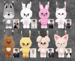 Stray Kids World Tour RUN IT SEOUL Merch