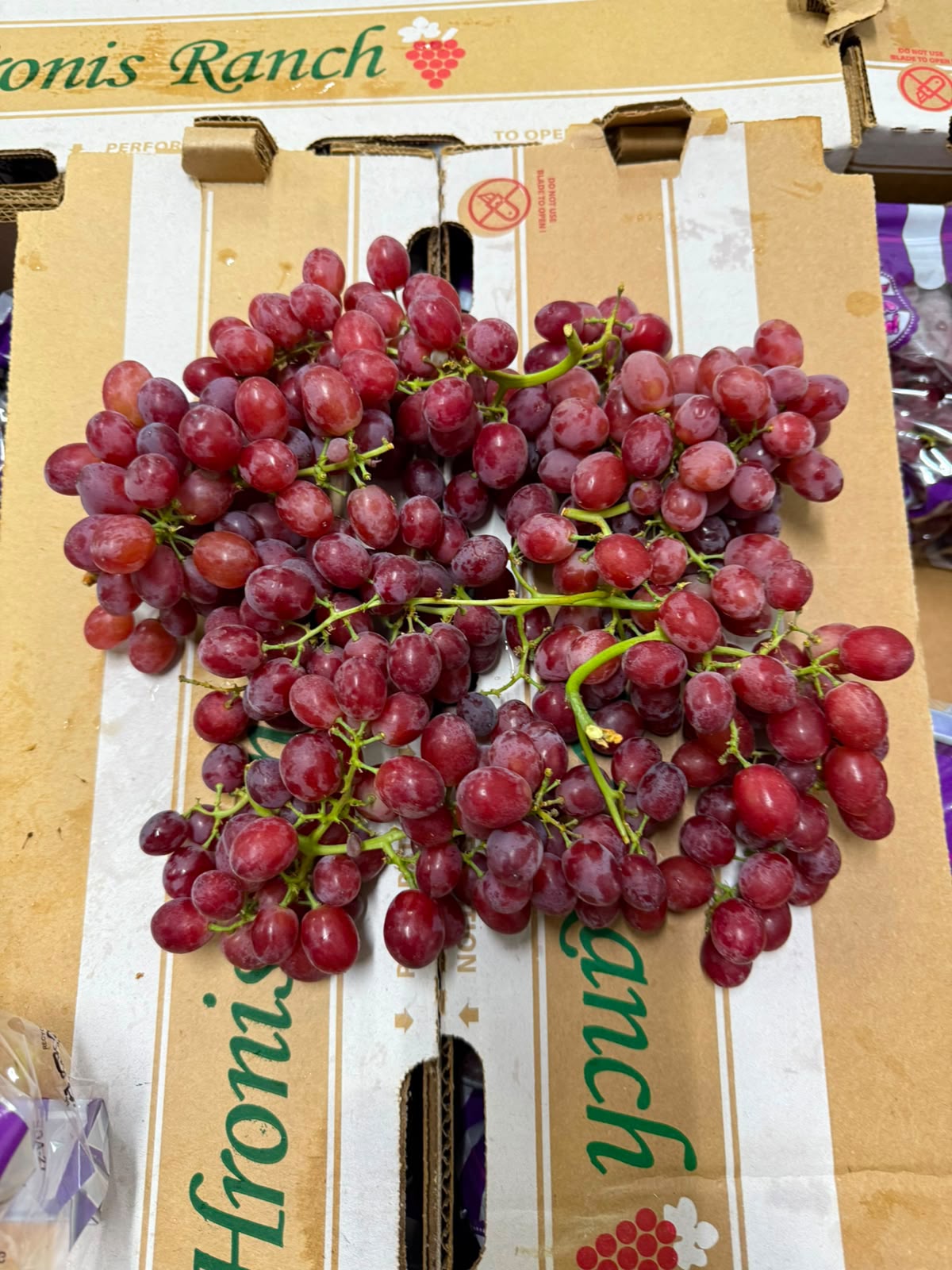 Candy Snap Grapes _1