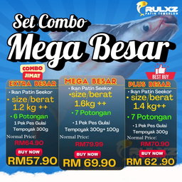 Set Combo Patin (Top Pick)
