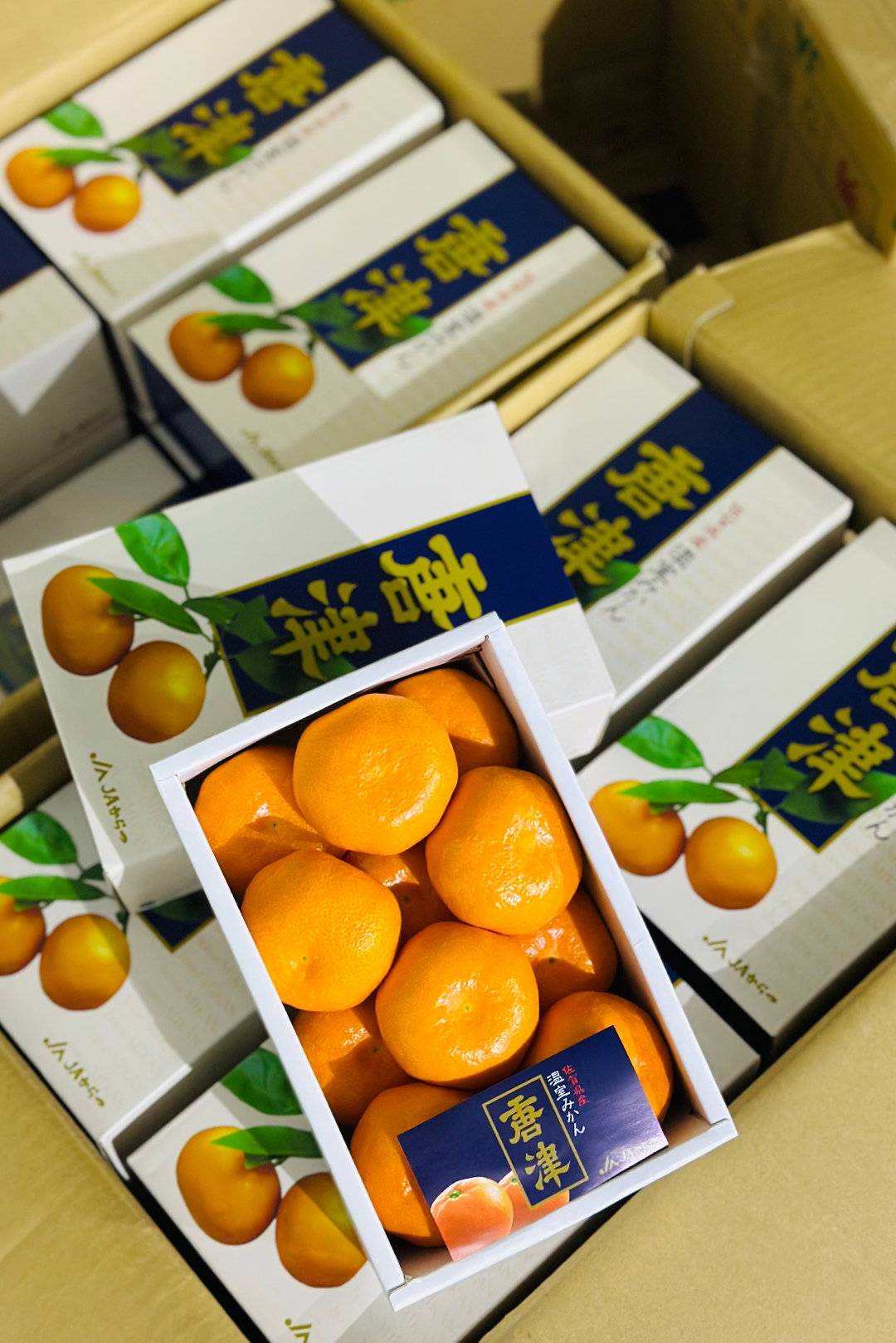Japan Karatsu Onshitsu Mikan Gift Box