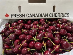 Cherry