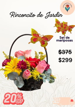 Rinconcito de jardín 