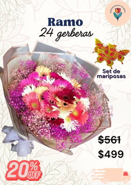 Ramo 24 gerberas
