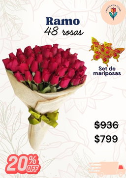 Ramo 48 rosas