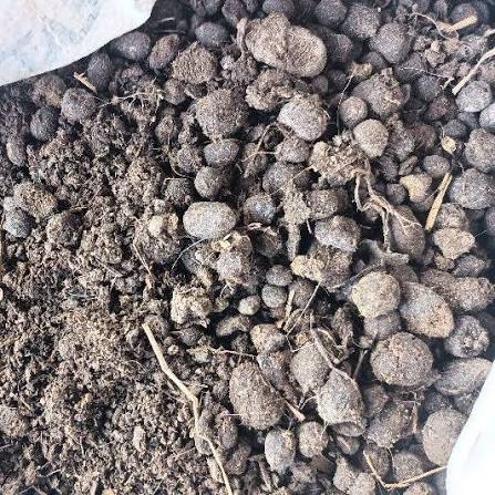 Goat Manure (එලු පොහොර)_2