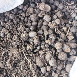 Goat Manure (එලු පොහොර)