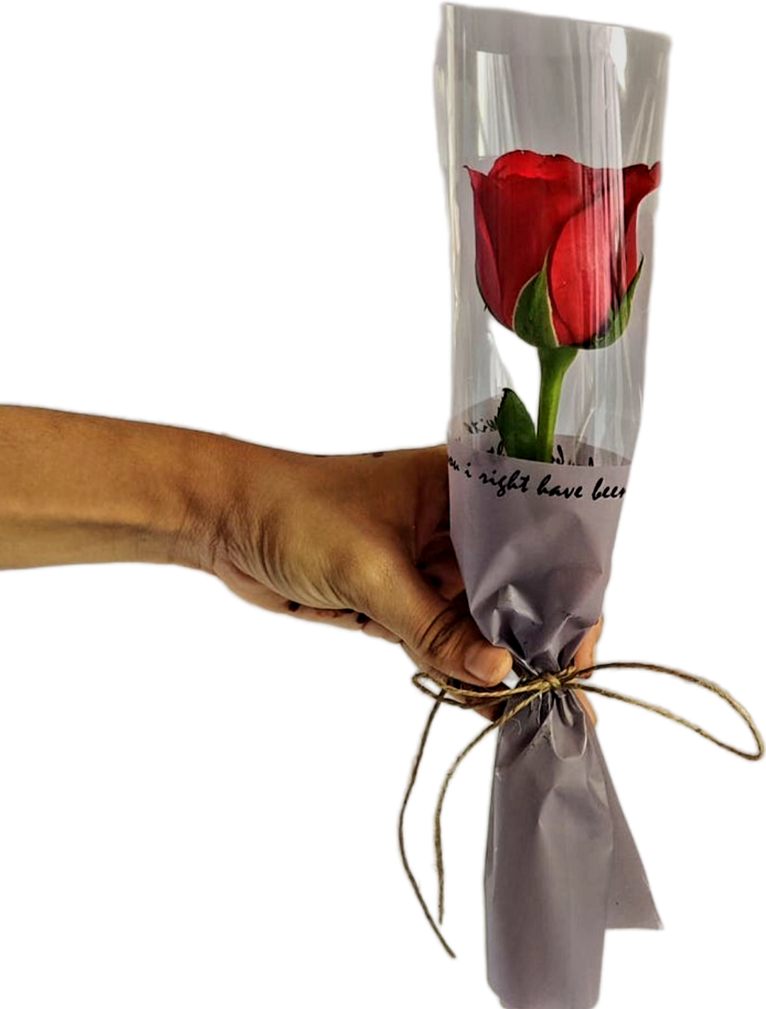 Rose that never fades