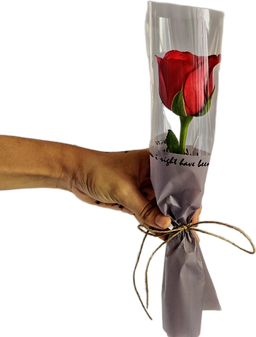 Rose that never fades
