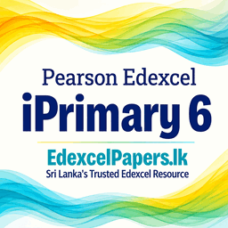 iPrimary 6 Papers