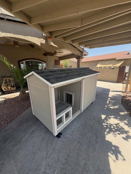 Exotic dog house