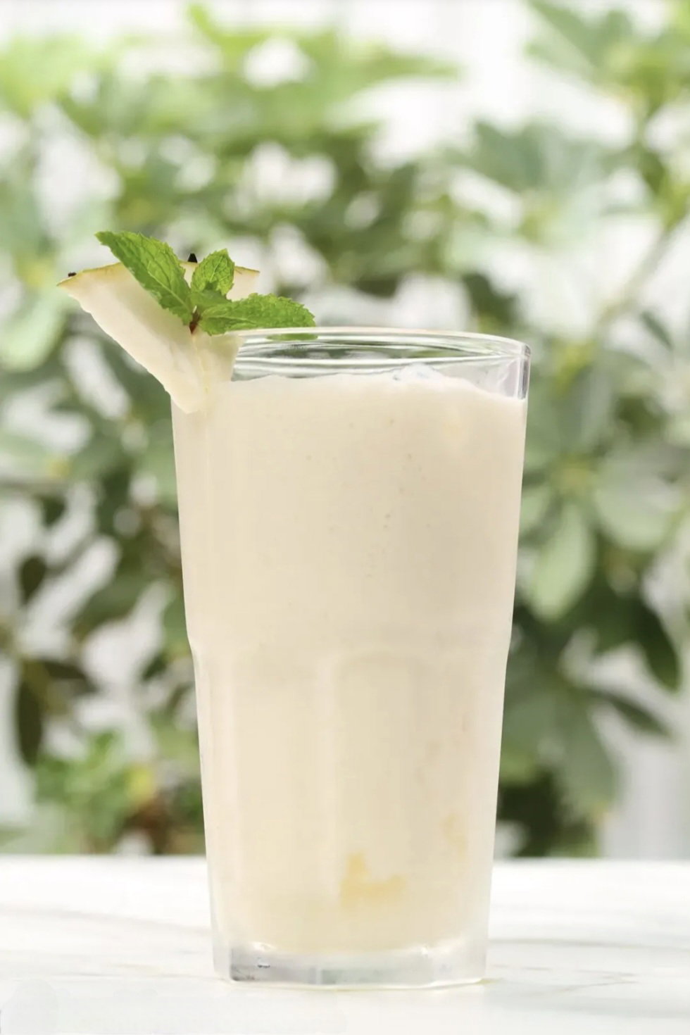 SOURSOP/ GUANABANA_0