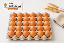 Normal Gred B (tray)