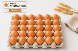 Normal Gred E (tray)