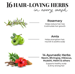 Anti Hairfall Conditioner | Rosemary, Amla & 14 Herbs