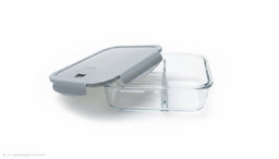 Compartment glass bento box