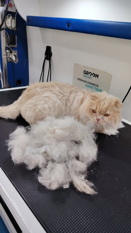 De-Shedding
