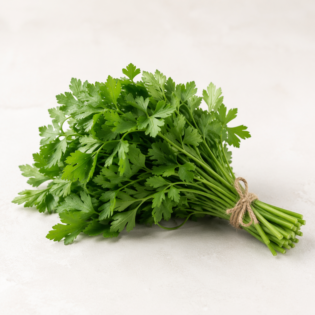 [Exp] Parsley - بقدونس