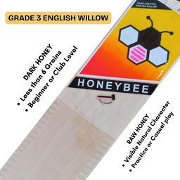 Grade 3 English Willow