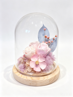 Blush Elegance - EV2605