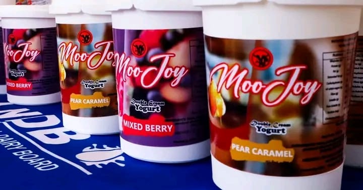 Double Cream Yogurt 500g