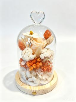 Champagne Grace - EV2614