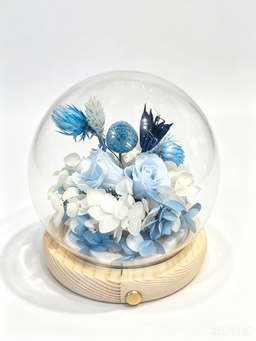 Arctic Bloom - EV2613