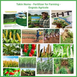 Terrerich fertilizer 