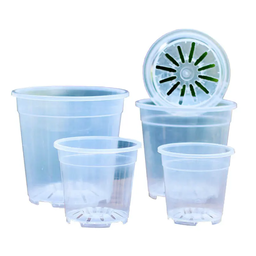 Clear Round Plant Pots