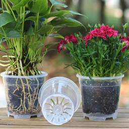Clear Round Plant Pots