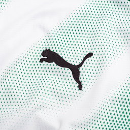 Borussia Mönchengladbach F.C Puma DRYCELL Kit 26/27