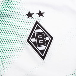 Borussia Mönchengladbach F.C Puma DRYCELL Kit 26/27