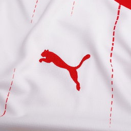 RB Leipzig F.C Puma DRYCELL Kit 26/27