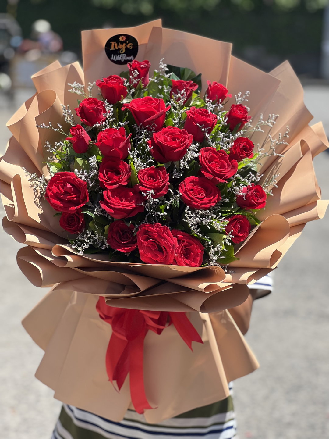 Velvet Rose