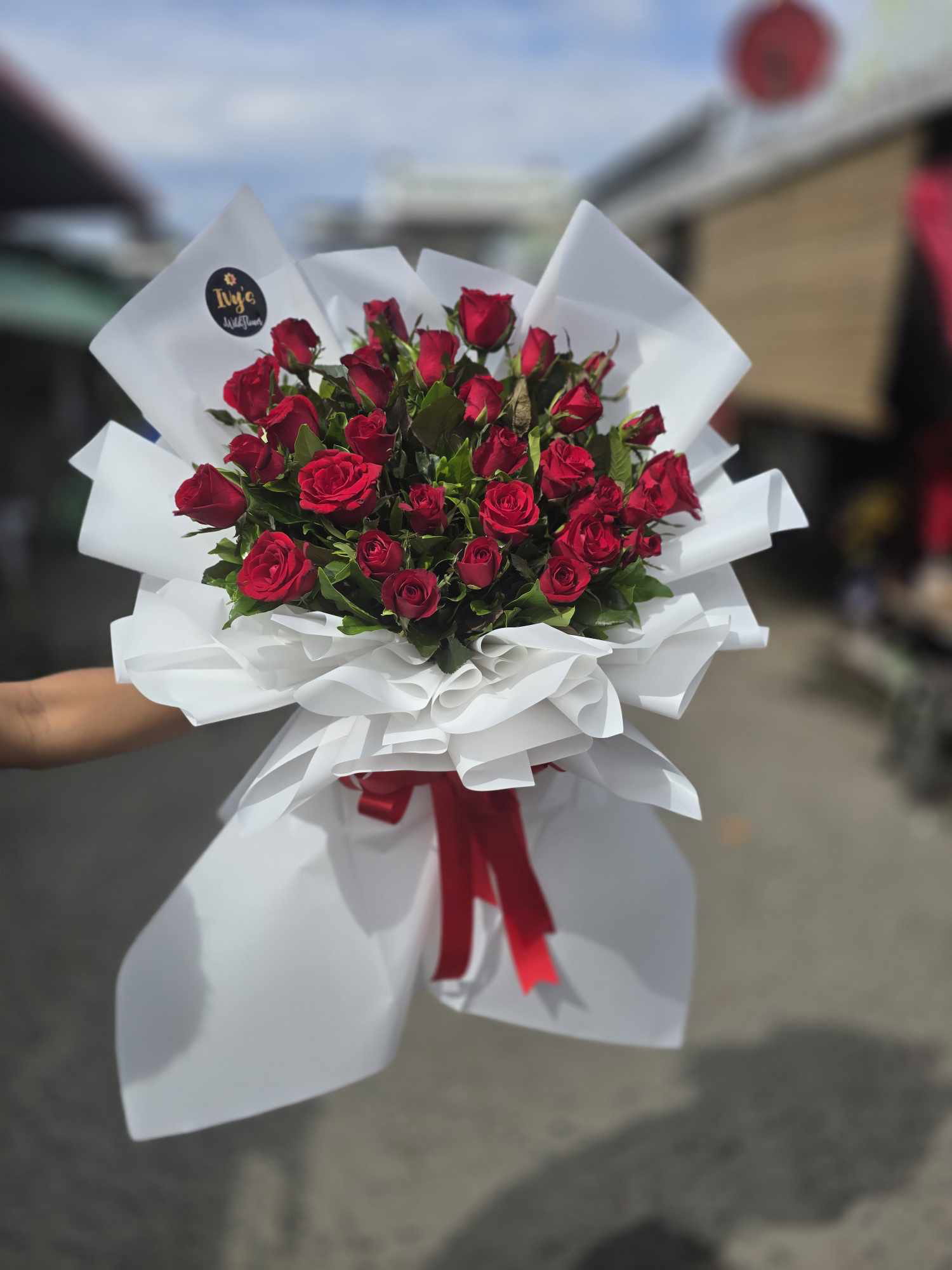 Velvet Rose_4