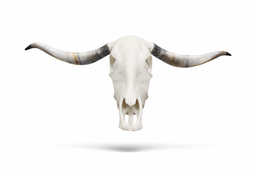 Cutlery Rest Animal Skull Afrikaner Bull