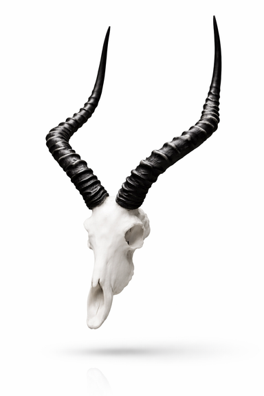 Cutlery Rest Animal Skull Impala