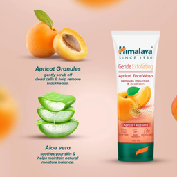 Gentle Exfoliating Apricot Face Scrub 