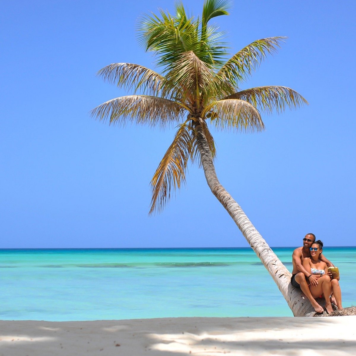 Tour Isla Saona_0