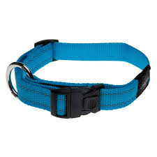 ROGZ- CLASSIC DOG COLLAR L - TURQUOISE_0