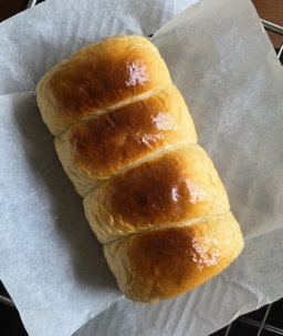 Sourdough Loaves and Buns