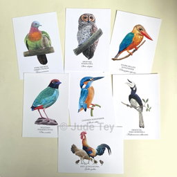 Birds of SG Prints