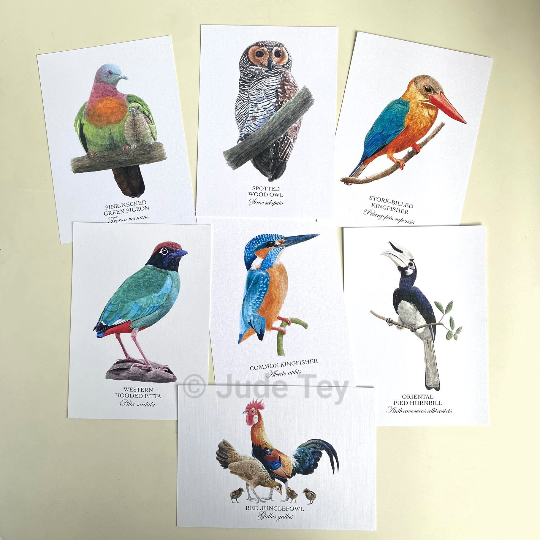 Postcard Set (7 designs)
