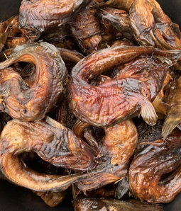 Fish