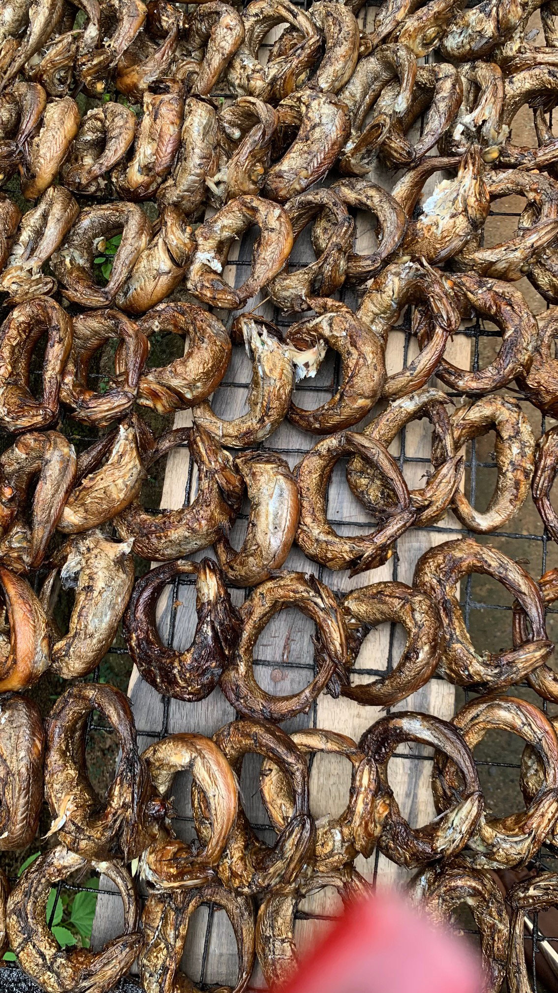 Premium Oven-Dried Panla Fish (Hake Fish)_0