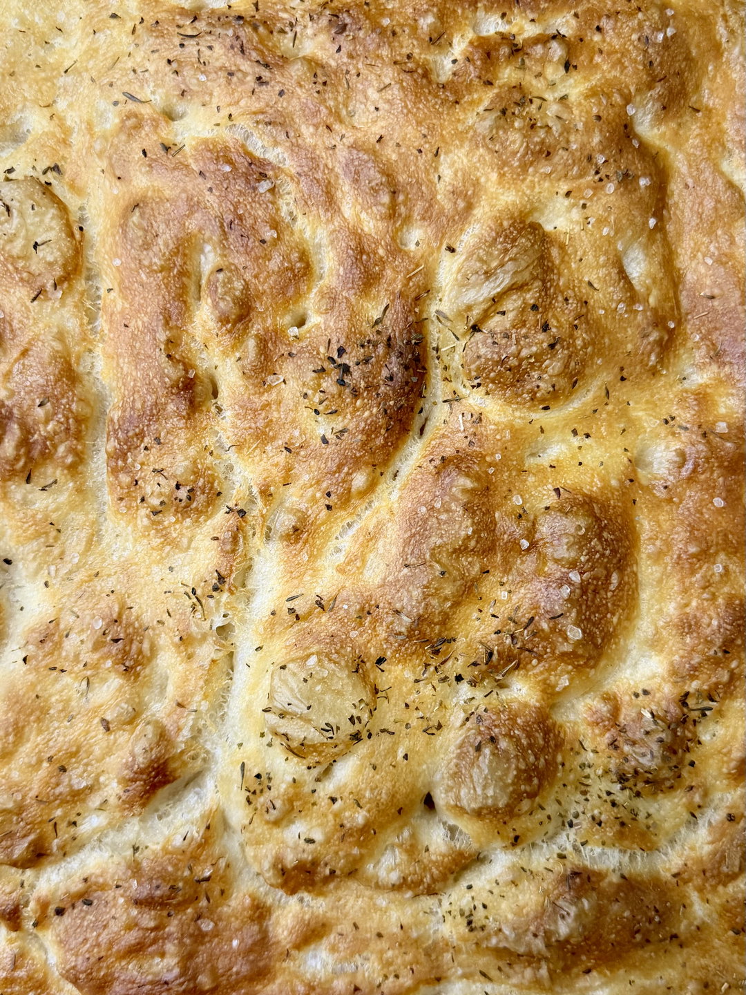 Plain Focaccia (with herbs and flaky salt)