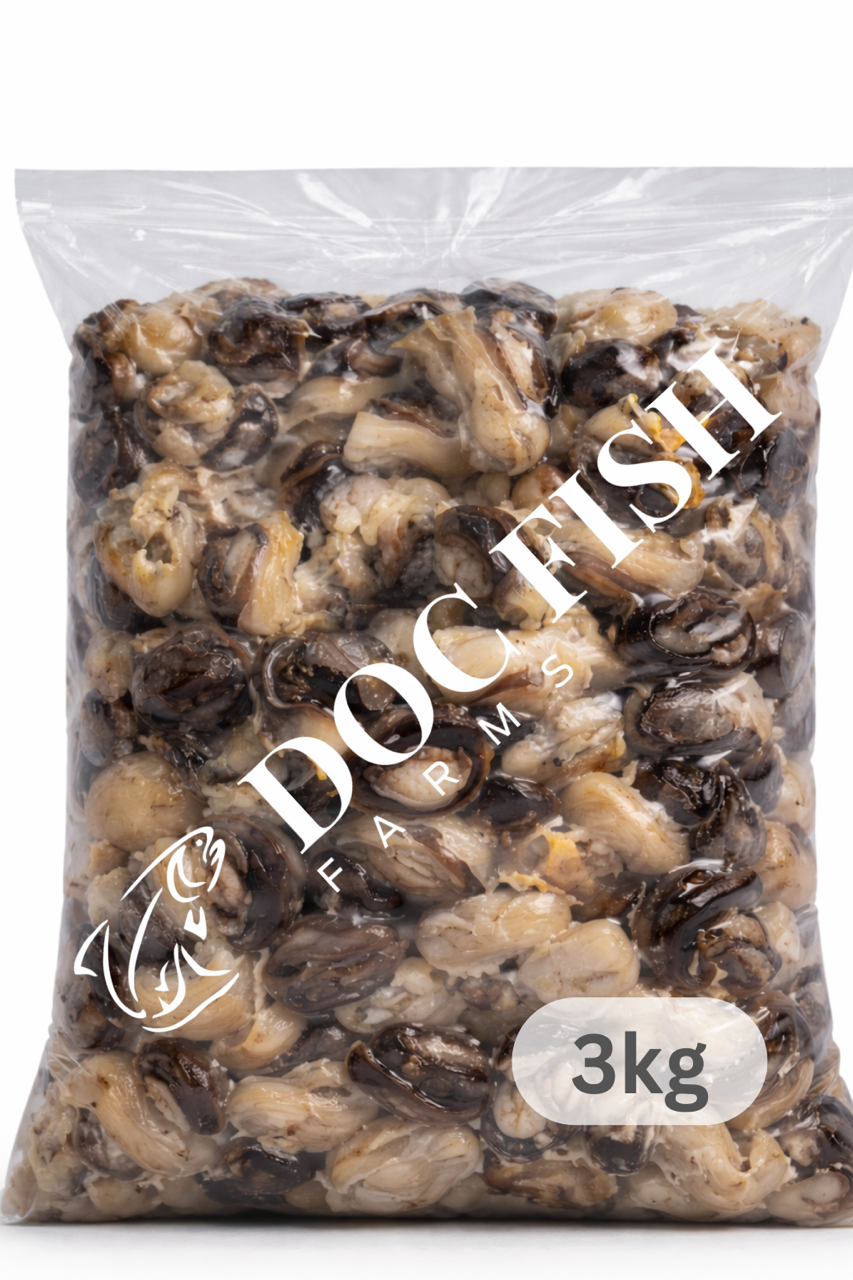 Premium Dried Freshwater Snail (Isawuru) – Sand-Free & Ready to Cook_1