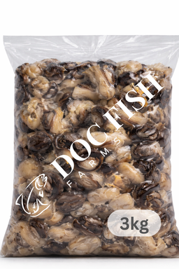 Premium Dried Freshwater Snail (Isawuru) – Sand-Free & Ready to Cook