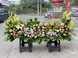 Sympathy Set