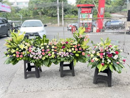 Sympathy Set